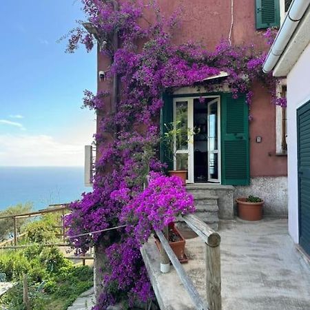 Ferienwohnung Amazing Flat At The Heart Of 5 Terre National Park Vernazza Exterior foto