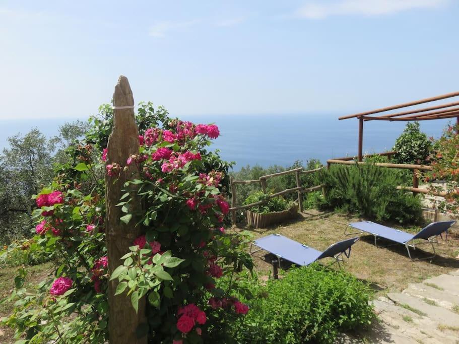 Ferienwohnung Amazing Flat At The Heart Of 5 Terre National Park Vernazza Exterior foto